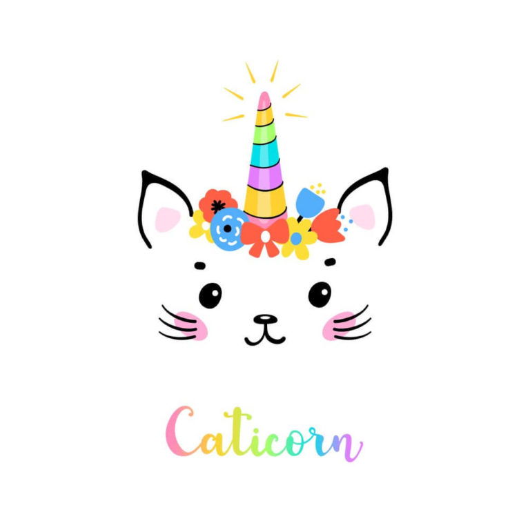 happy birthday cat images