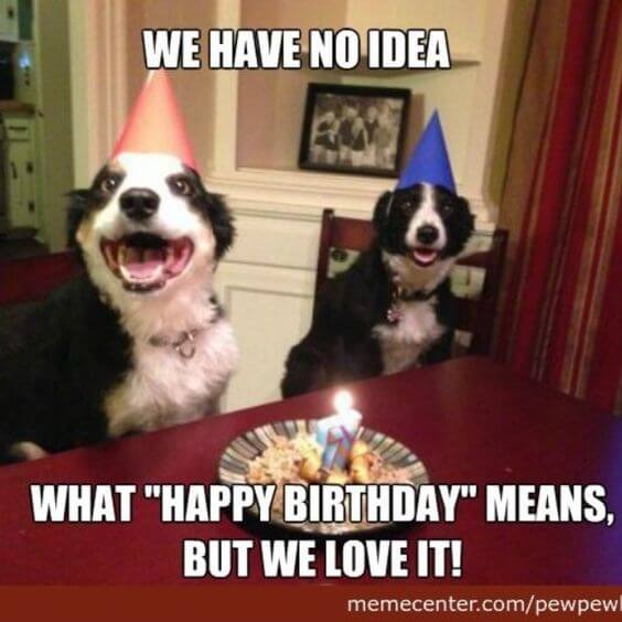 Funny Happy birthday dog meme image