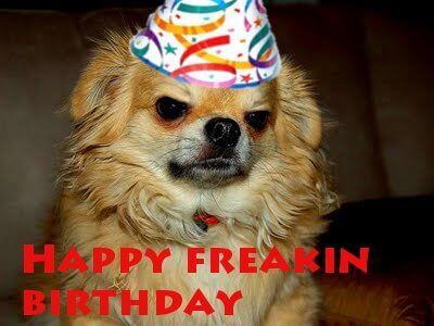 Funny Happy birthday dog meme photo