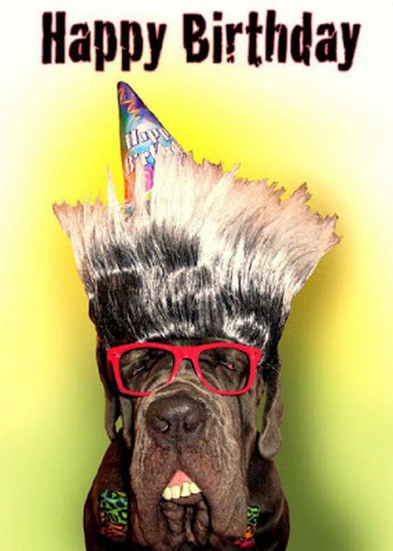 Funny Happy birthday dog meme picture