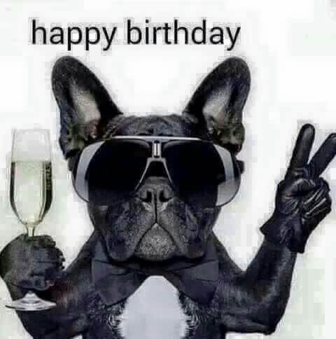 Funny Happy birthday dog meme