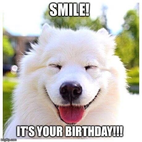 Happy birthday dog funny meme images