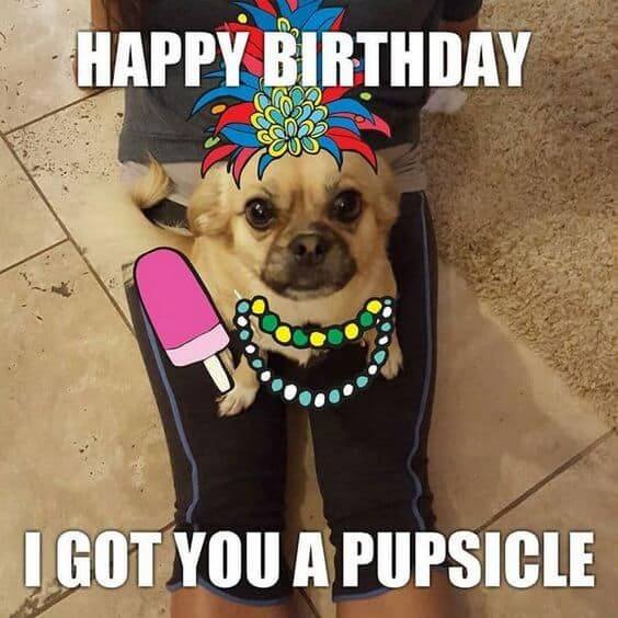 Happy birthday dog funny meme pic
