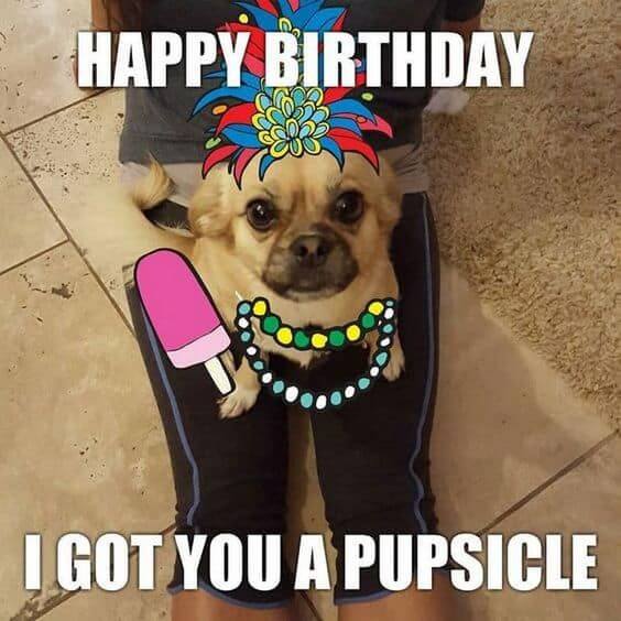 100+ Funny Happy birthday dog meme - Happy Birthday Time